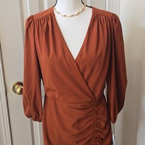 MAISON TARA BRAND WOMEN'S LONG BROWN LONG SLEEVES DRESS SIZE 10